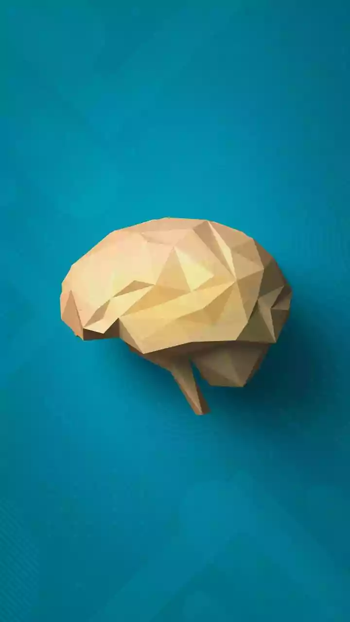 Anxiety: Understanding the Overdrive in Your Brain