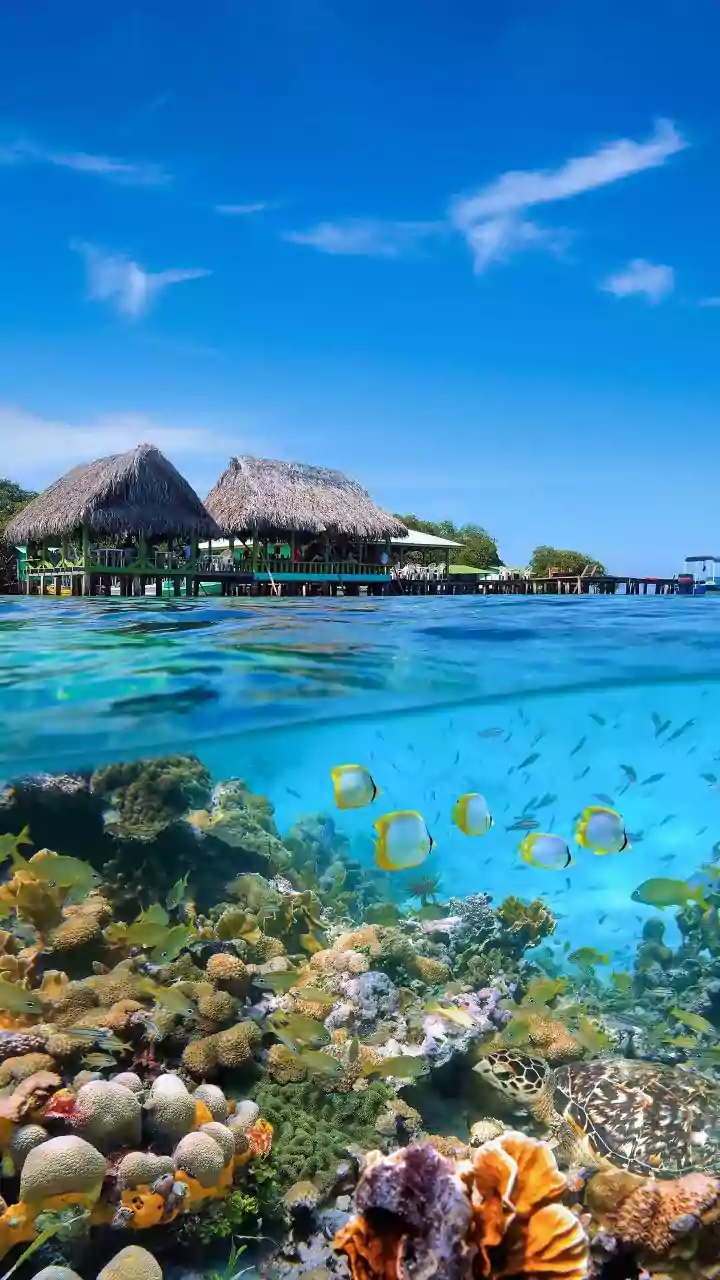 Budget-Friendly Eco-Resorts And Diving Packages In Lakshadweep For Autumn Island Vacationers