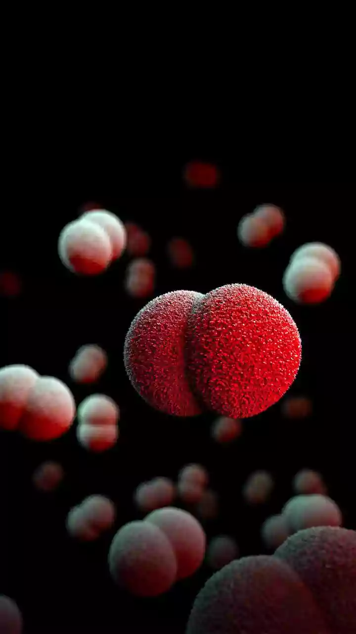 Seu sangue pode revelar doenças antes dos sintomas? Descubra