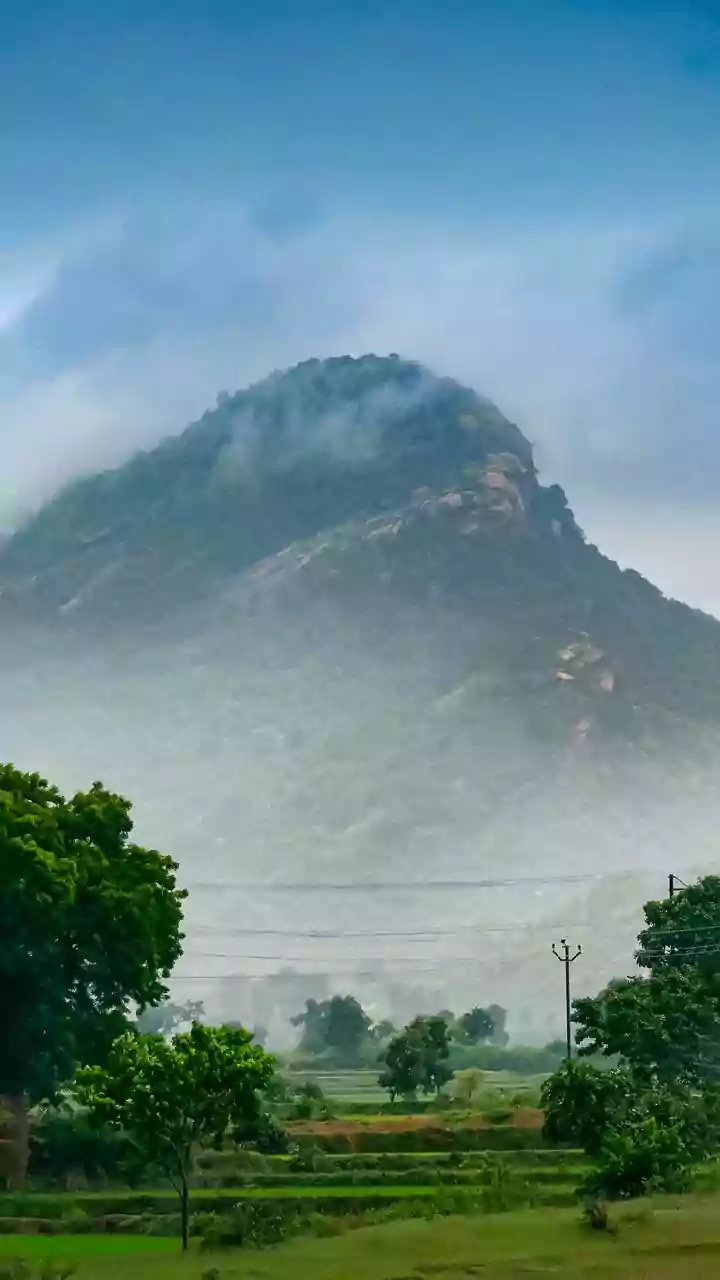 Cold wave sweeps Odisha, zero degree Celsius in Similipal