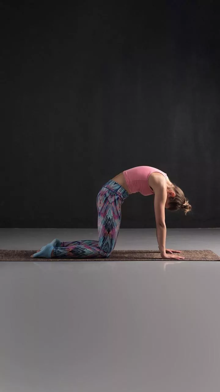 Unleash Strength: Shilpa Shetty's Tiger Pose for a Powerful Back and Glutes