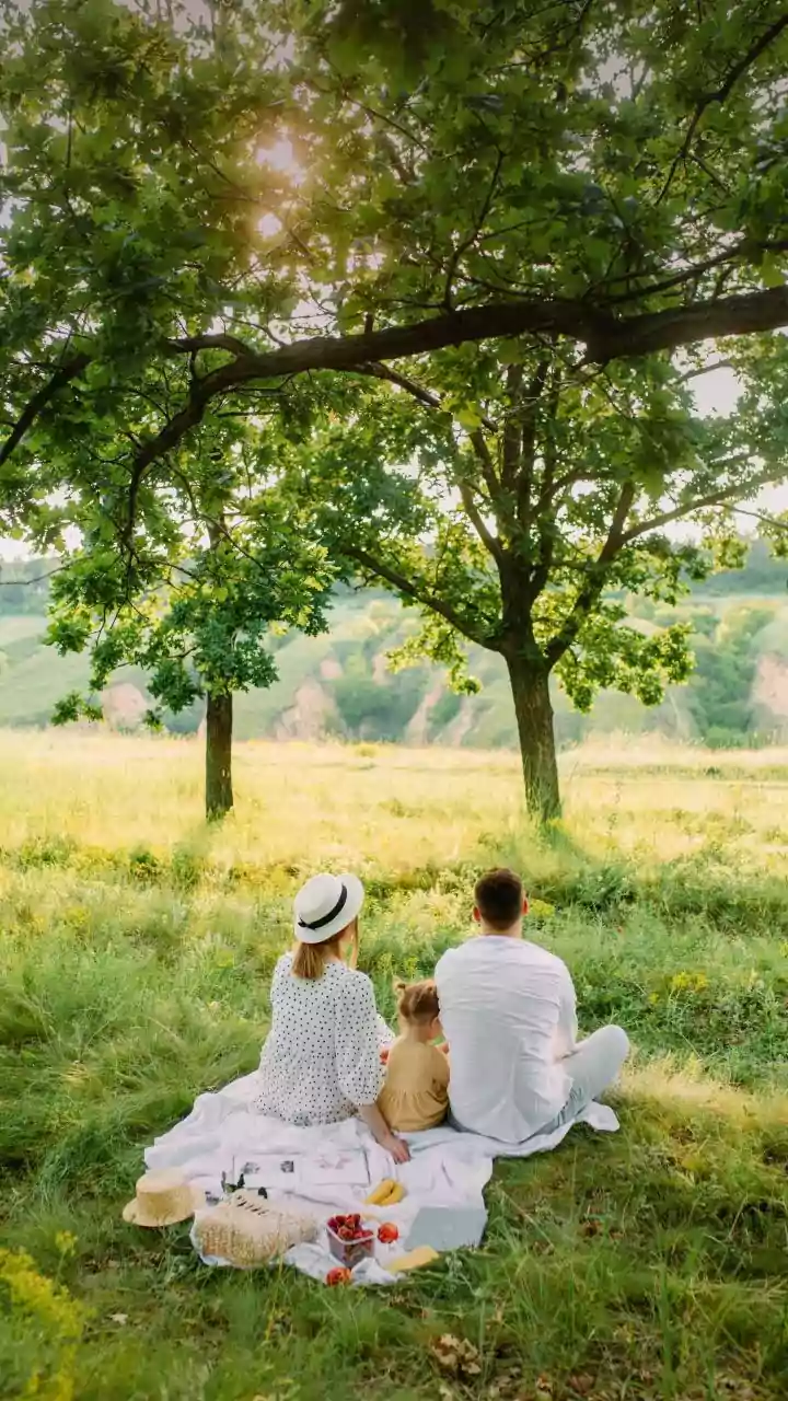 Breathtaking picnic places from Guwahati for unforgettable welcome to New Year 2026