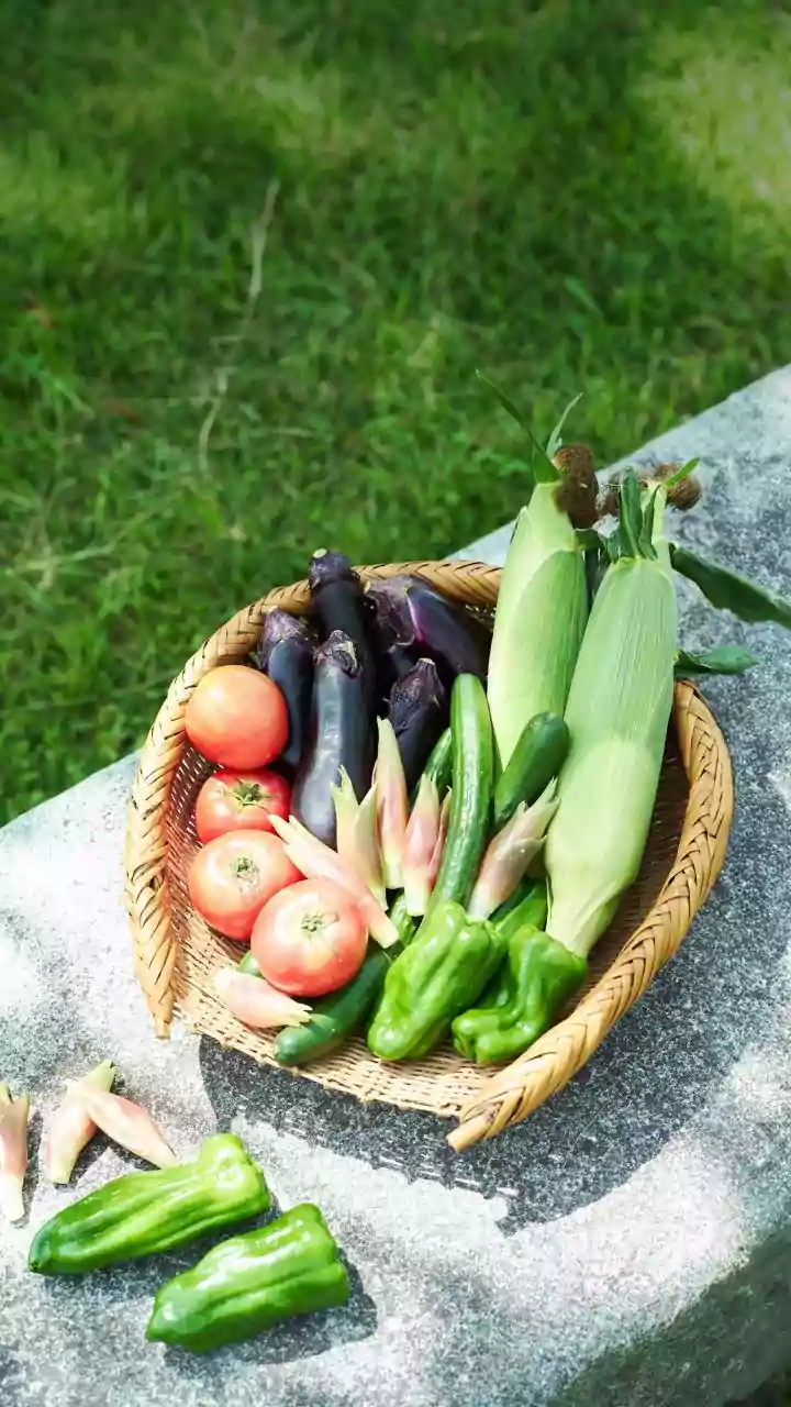 Summer Harvest: Vibrant Indian Vegetable Delights for a Refreshing Season