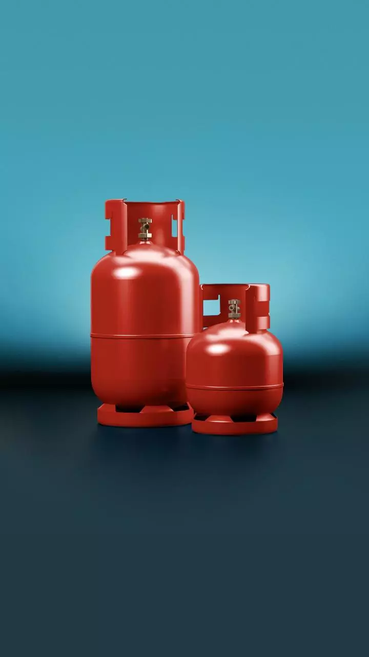 More than 500 filled LPG cylinders stolen in UP's Jhansi; case registered