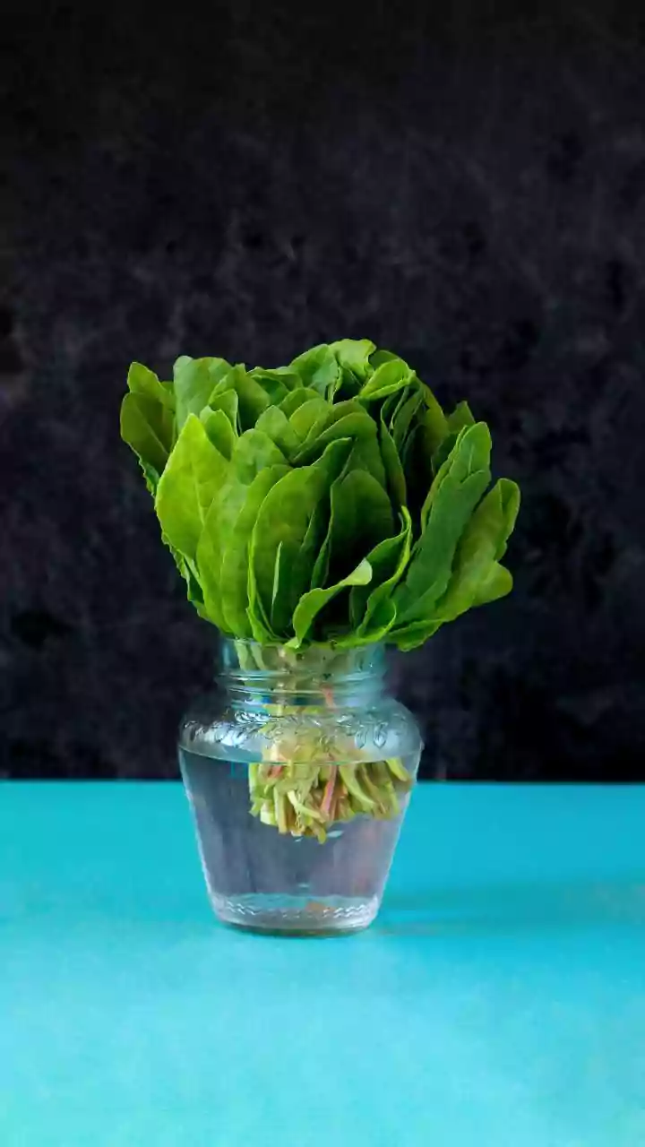 Pairing Leafy Greens With Vitamin C Citrus Doubles Iron Intake For Plant Based Dieters Everywhere