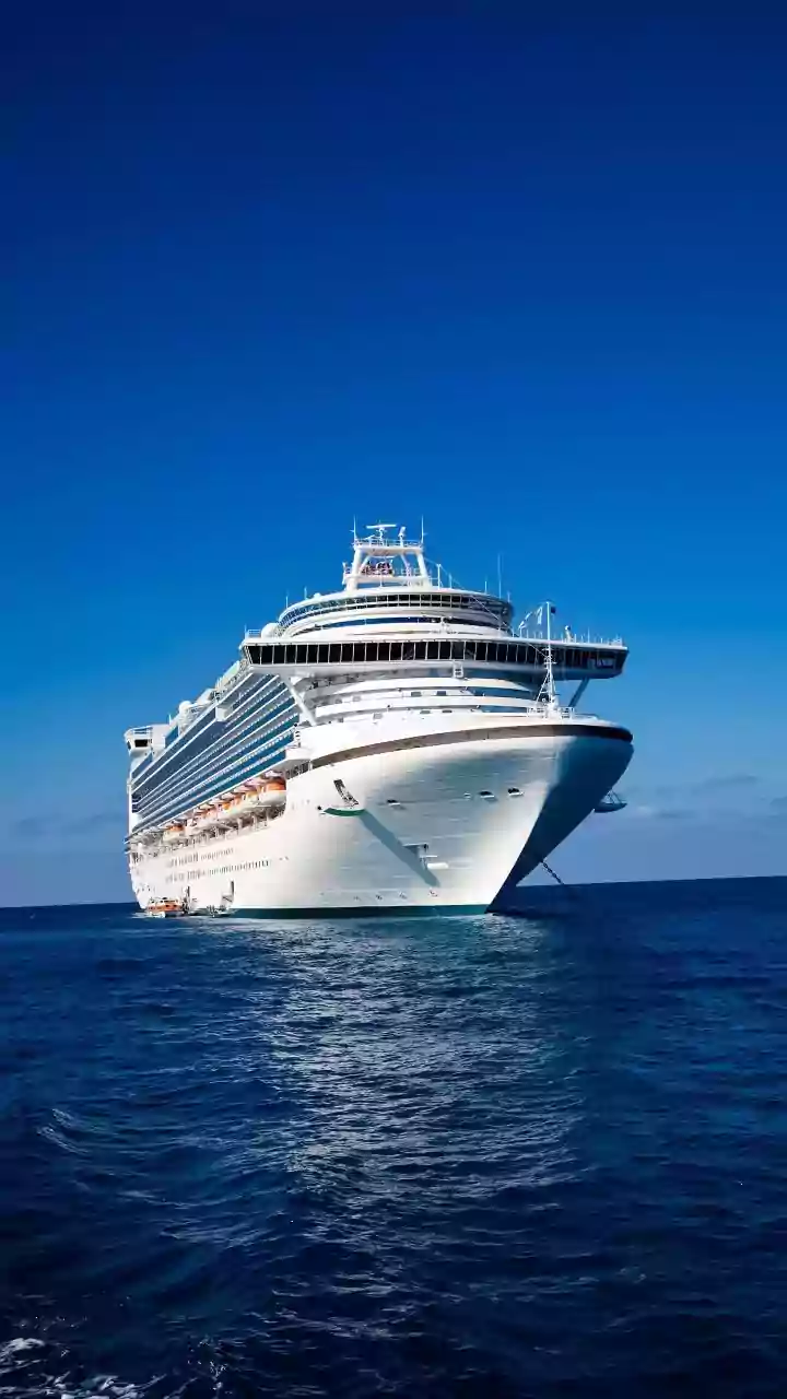 Hantavirus Outbreak on MV Hondius: A Cruise Ship's Ordeal at Sea