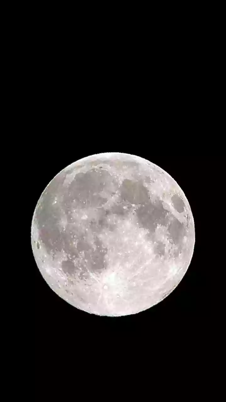 Before Lunar Bases Expand, Scientists Are Mapping Where Earth Microbes May Persist