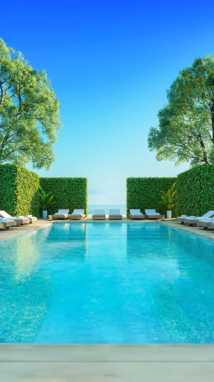 Luxury Cage-Free Boarding Pools Save Urban Puppies This Hot Weekend