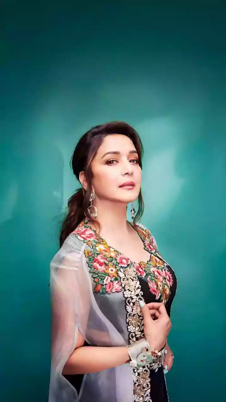 Madhuri Dixit's ₹1.4 Lakh Saree: Wedding Style Inspiration