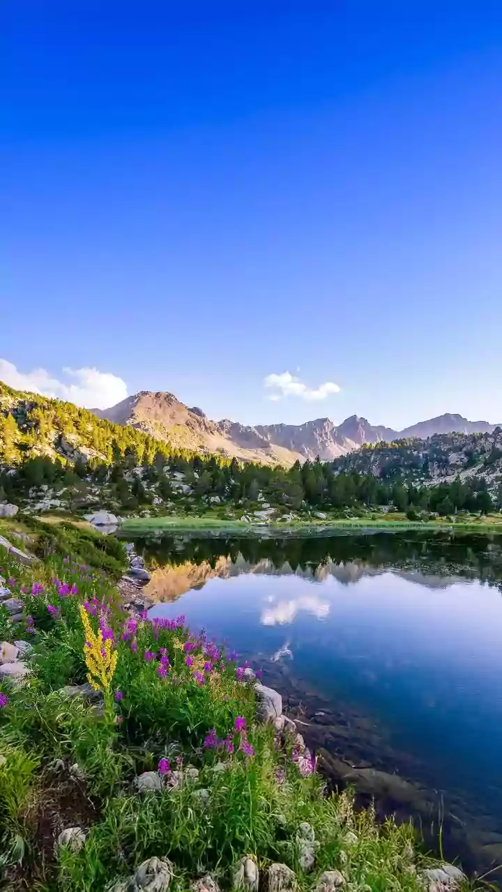 Capricorn's April 23, 2026: Prioritize Serenity and Prudence Over Excitement