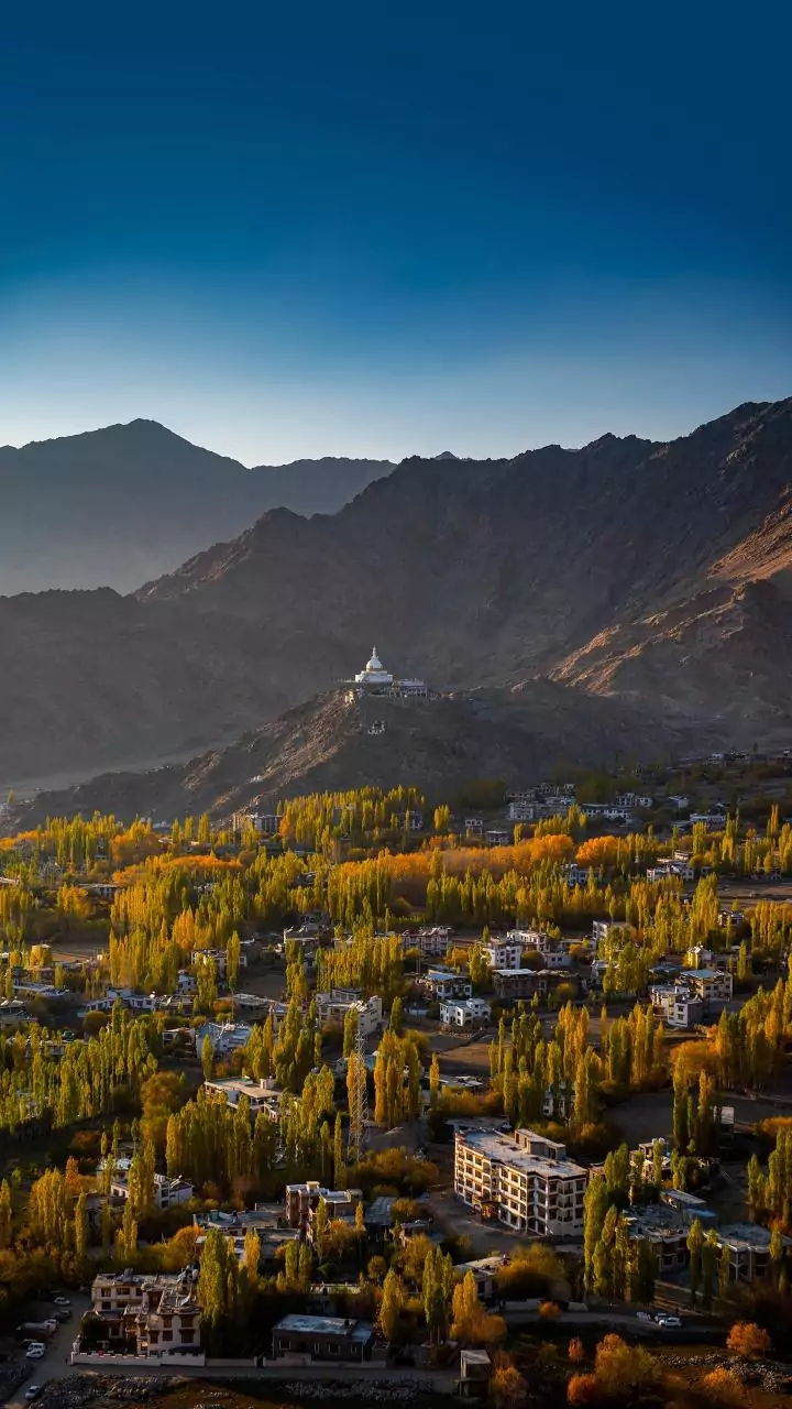 Wildlife panel clears 13 defence, paramilitary projects in Ladakh, Arunachal