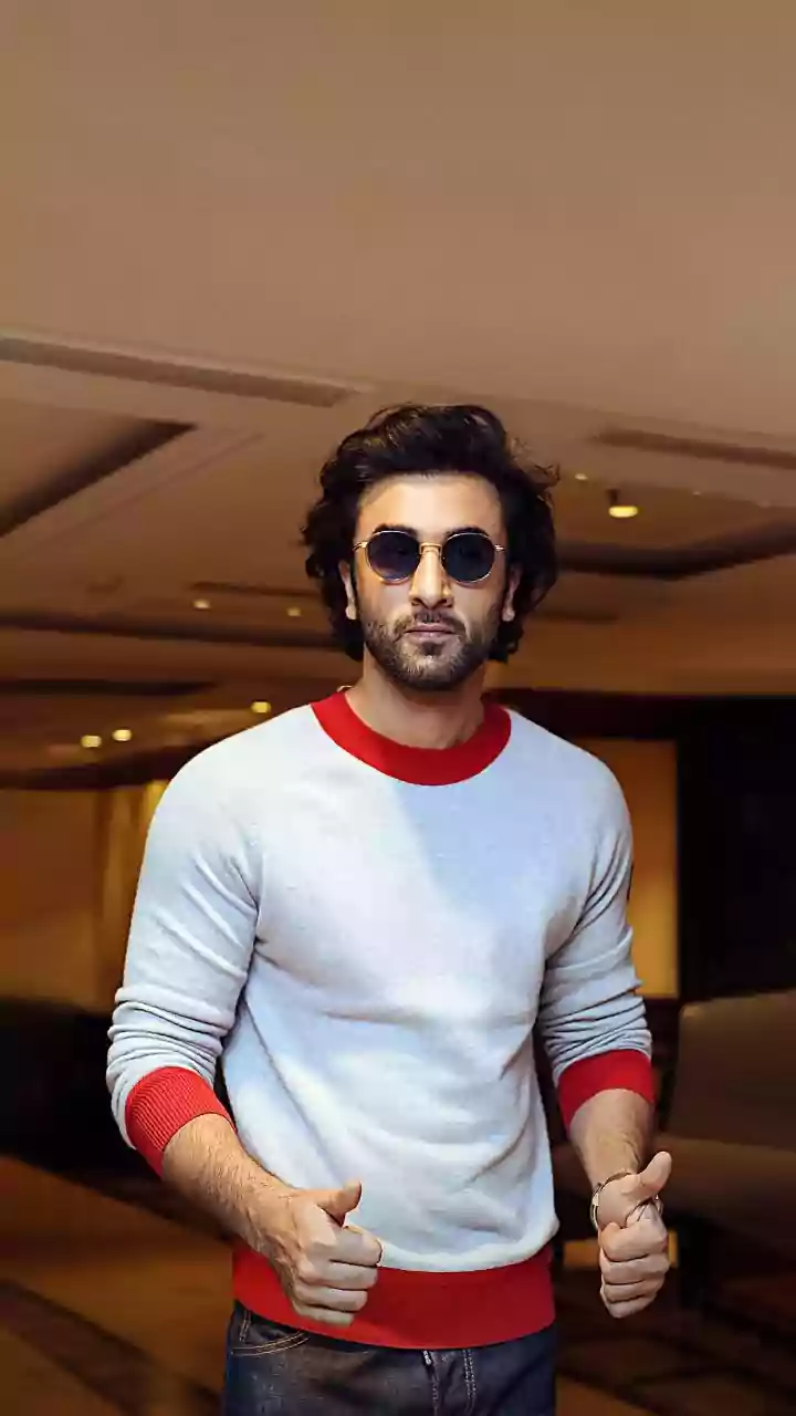 Ranveer Singh's Dhurandhar, Shahid Kapoor's Kabir Singh, Ranbir Kapoor's Animal ALL Highest Grossers: Does Hypermasculinity In Bollywood Really Sel...