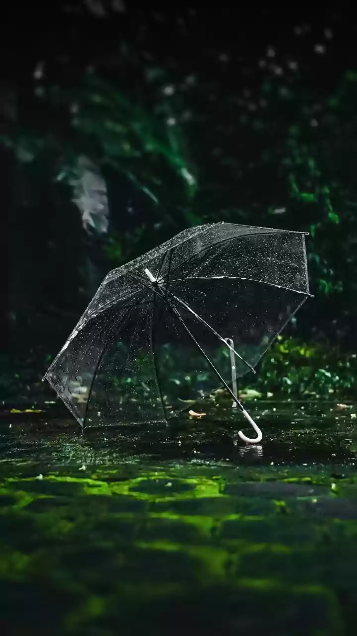 Light to heavy rains likely in coastal, southern districts of Bengal from Oct 27