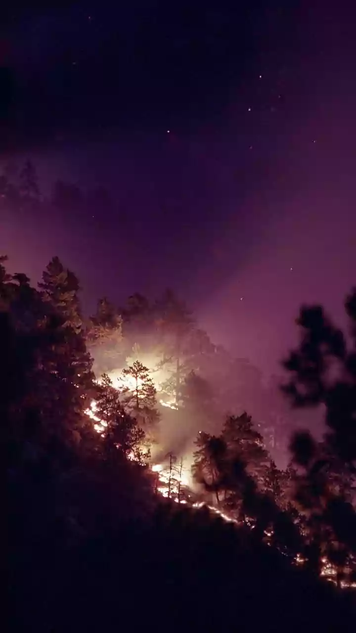 Understanding Haze Pollution from Indonesian Wildfires