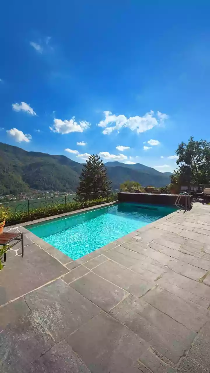 Premium Cage Free Pet Boardings With Pools See Surges
