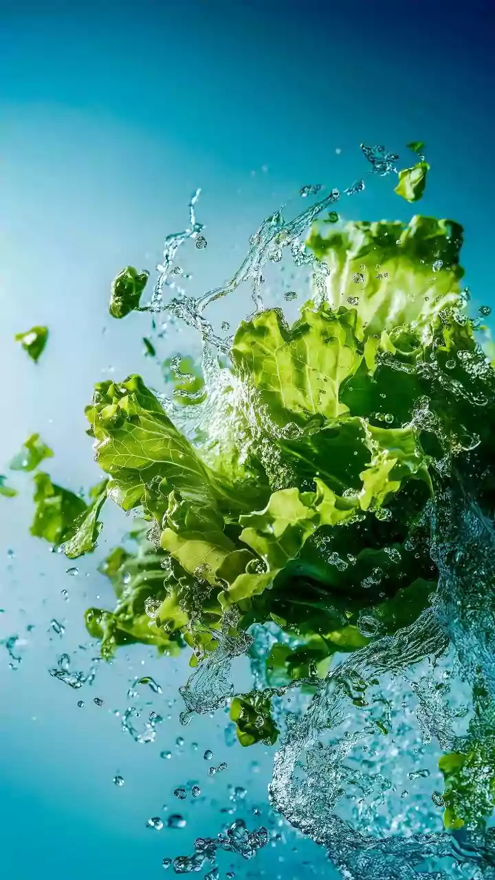 Shocking Find: Live Frog Hidden In Supermarket Lettuce Stuns Australian Farmer