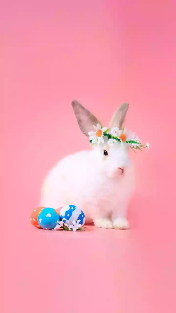 Pet Parenting Has Officially Gone Full Bunny Mode