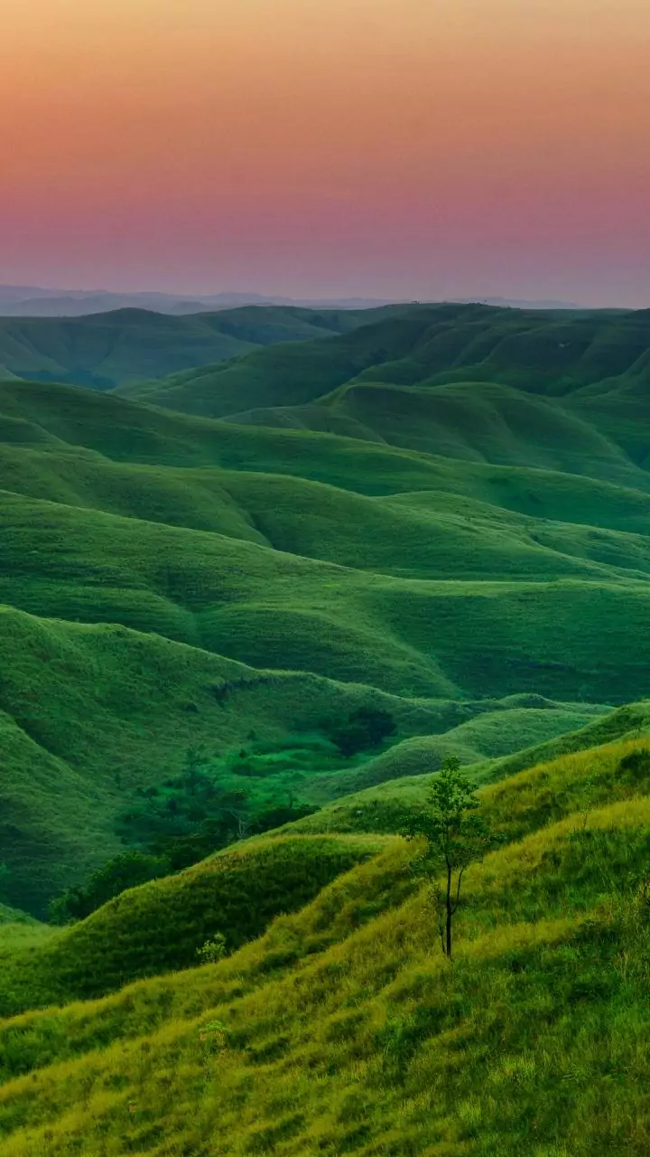 8 Silent Habits Sabotaging Your Inner Peace: Reclaim Your Calm Today!