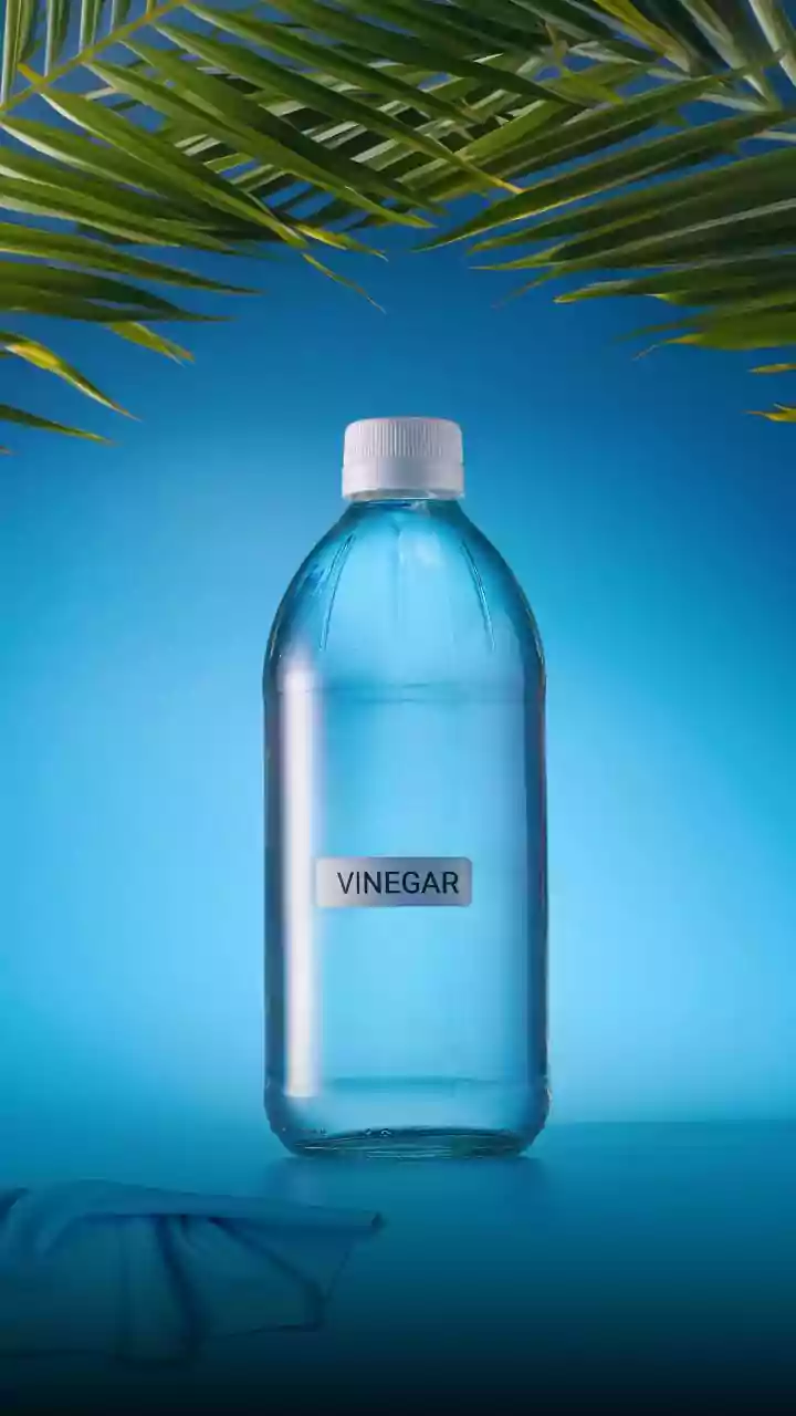 How Diluted Vinegar Before Meals Helps Stabilise Postprandial Blood Sugar Spikes In Adults
