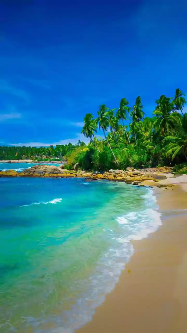 South India's Coastline Offers Alternatives To Chilly Hill Holidays
