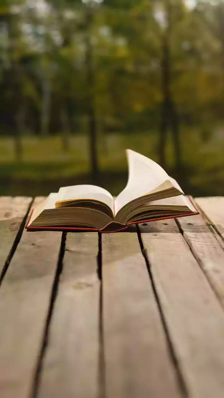 Short Stories & The Art of Finding Solace