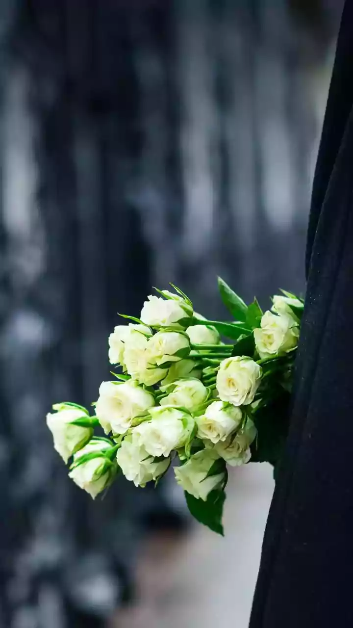 Zia's funeral to be held on Wednesday; B'desh announces 3-day state mourning