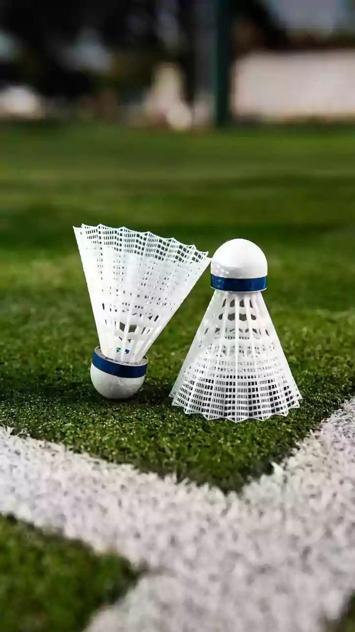 Backyard Badminton And The Facts In Focus