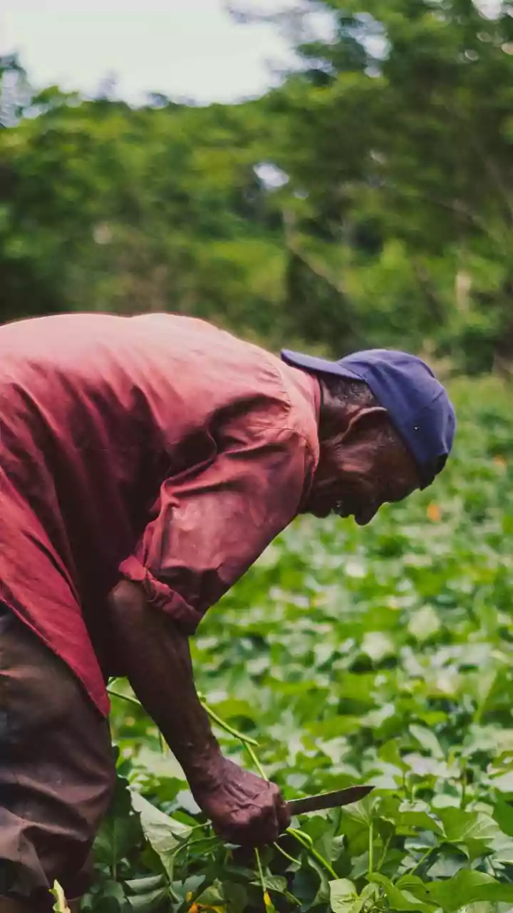 Odisha: Congress extends support to farmers' strike on Wednesday
