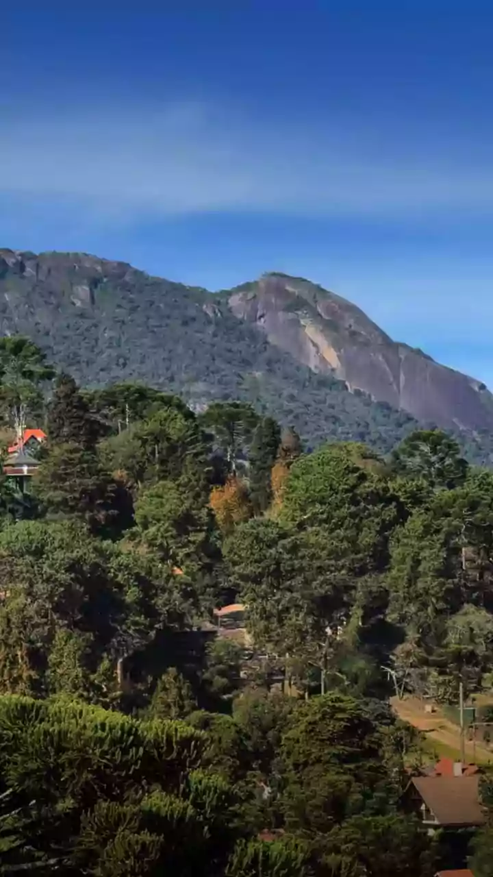 Monte Verde passa a cobrar taxa ambiental de visitantes a partir de julho