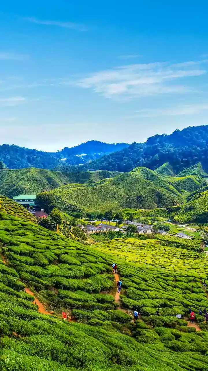 Discover India's Best Hill Stations: A Traveler's Guide