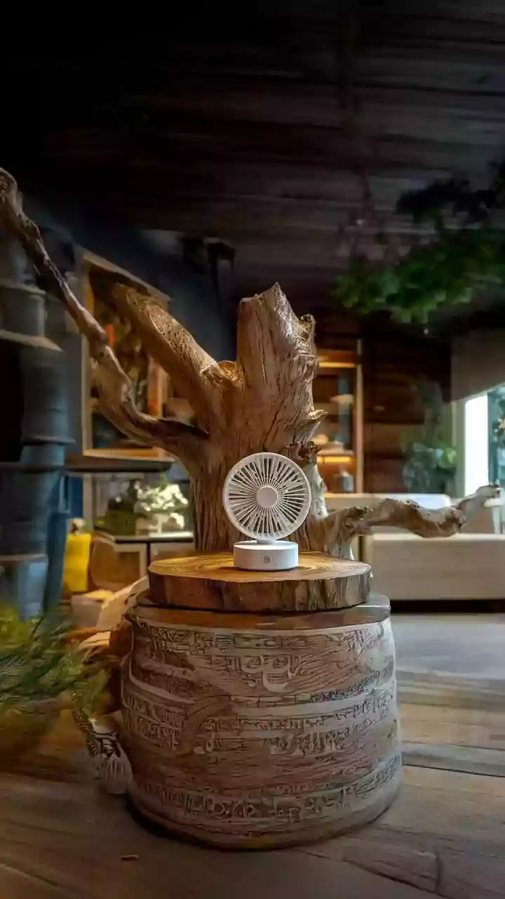 Unveiling the Human Brain: Weight, Size, and Beyond