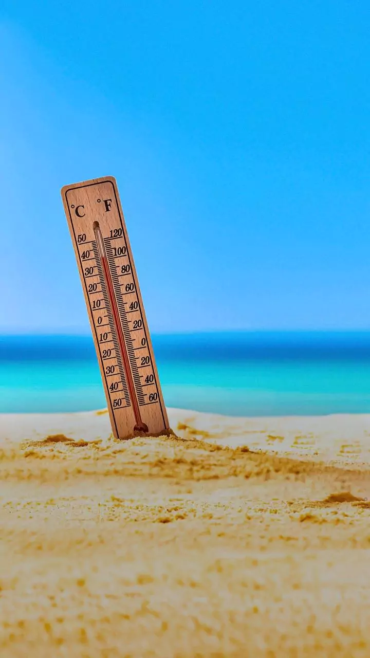 Heatwaves cost India $194 billion in 2024: Lancet report