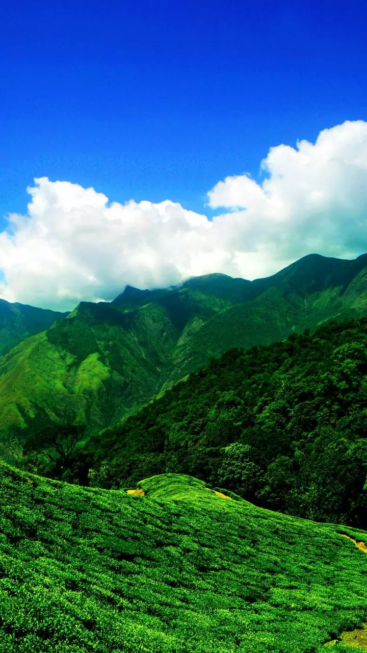 Where To Find India's Lushest Views With Less Rain