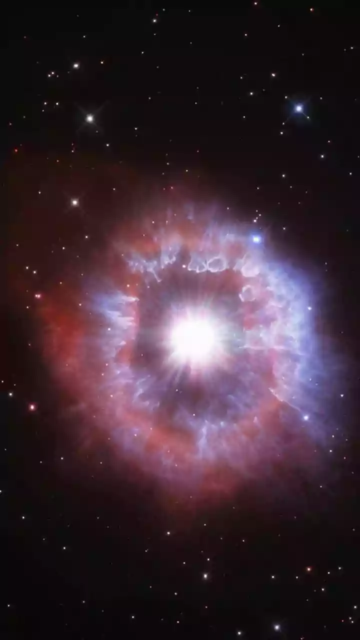 Lion Nebula: What Webb's New Lion Nebula Portrait Shows About A Dying Star's Remains