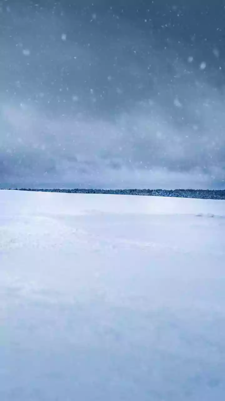 Fresh snowfall in Jammu’s higher reaches; rains bring relief from long dry spell in plains