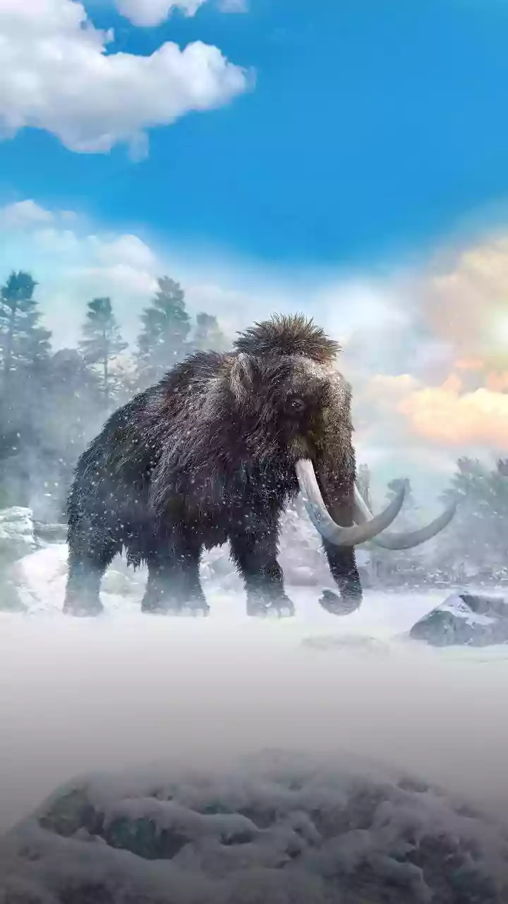 A 450-million-year-old Fossil Has Preserved Exceptionally Rare Soft Tissue: What to Check before Acting on the Update