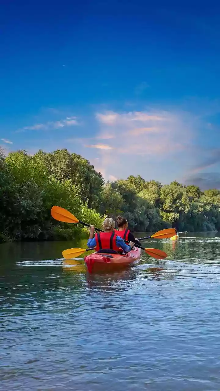 The Malabar River Festival Is A Showcase, Not A Shortcut To Competence