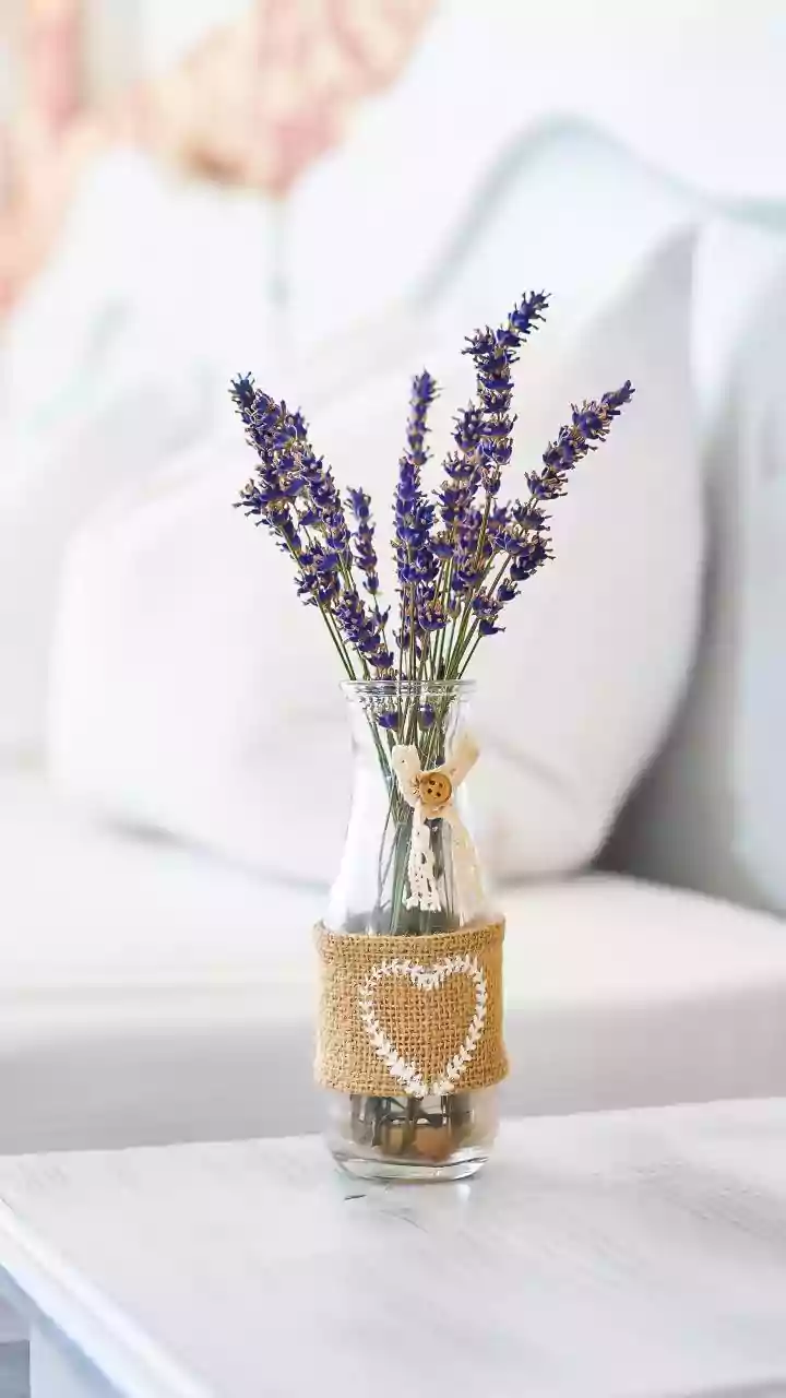 Yoga On A Budget Simple Ways To Craft A Peaceful Home Corner Using Props