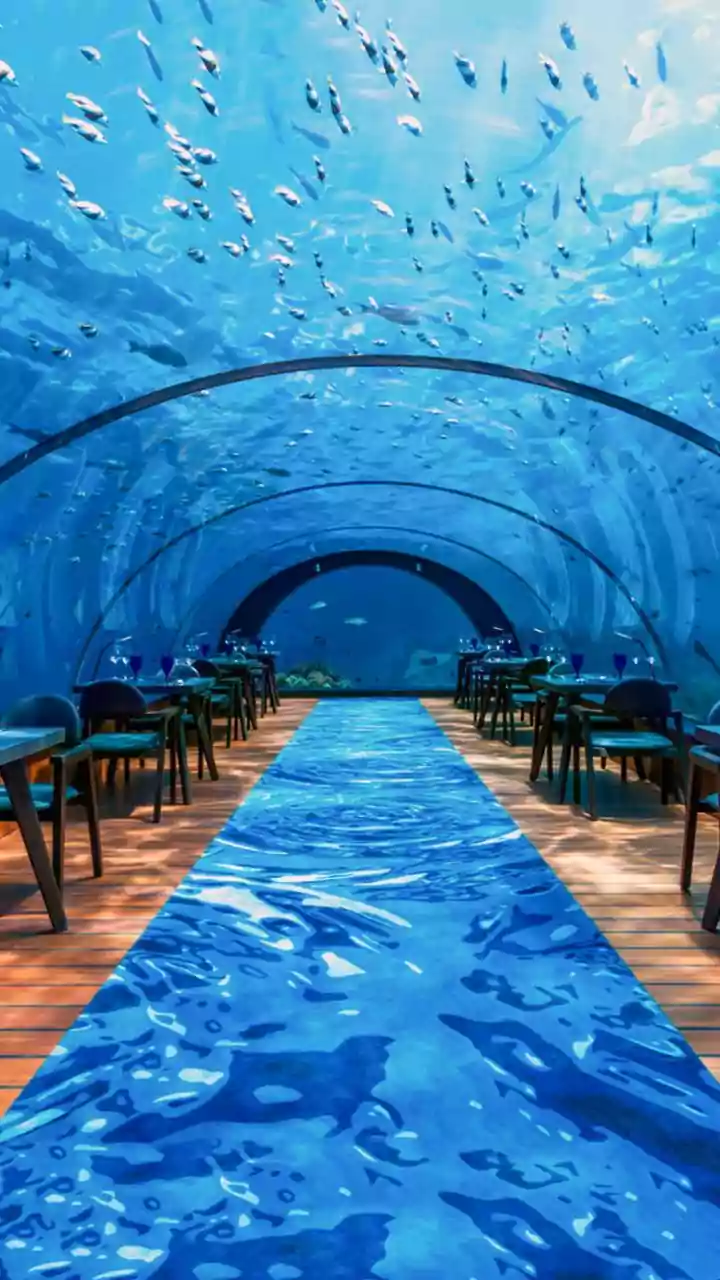 Dive In: 10 Astonishing Hotels Where You Can Sleep Beneath the Waves
