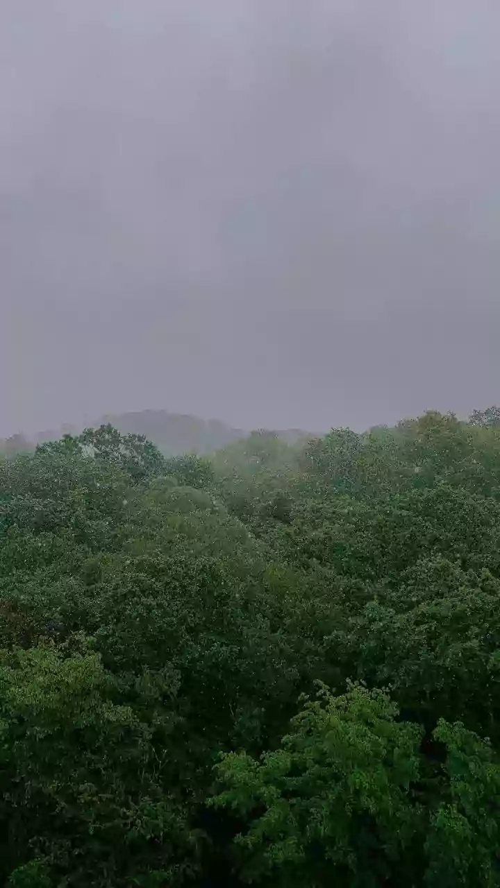 Monsoon hits Andaman this weekend: 4-week countdown to Kerala onset begins
