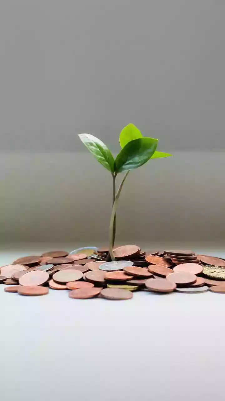 Dividend Stocks: Angel One, ICICI Prudential, Havells, 2 PSU Banks To Trade Ex-Date This Week