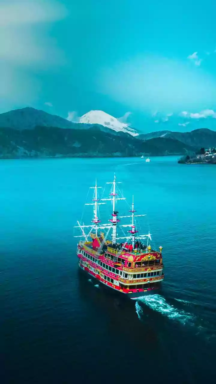 Hantavirus Cruise Outbreak: What Travelers Need to Know and How Safe is Travel?