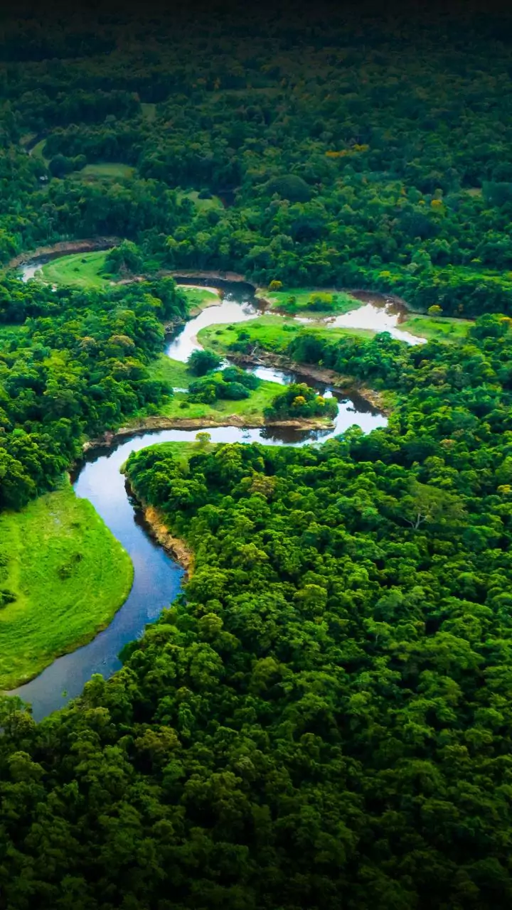 Amazon rainforest is shifting to a "hypertropical" climate—something Earth hasn't seen in 10 million years