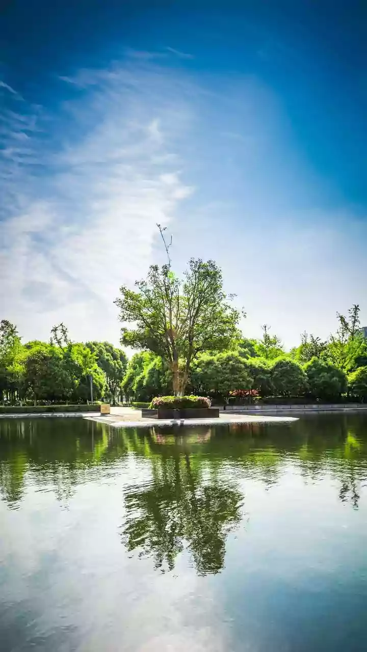 Taurus Daily Forecast: April 17, 2026 - Calm Investments & Harmonious Connections