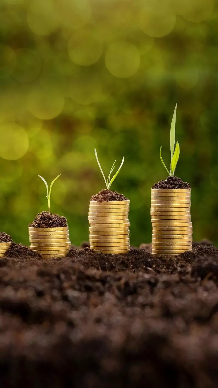 Groww shares surge 14% on debut, hit ₹24,000cr market cap