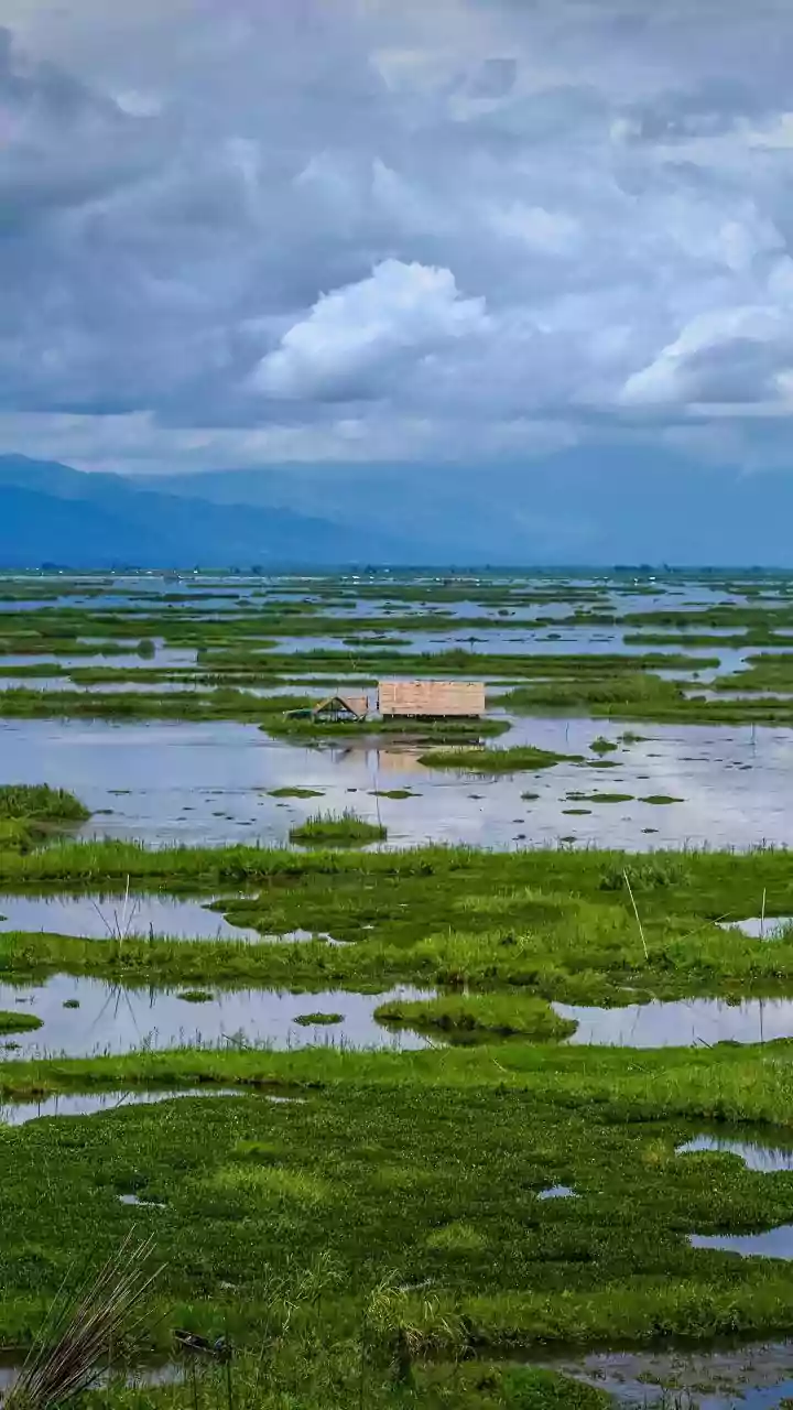 Loktak Lake: Manipur's Floating Wonder and Home to the Dancing Deer