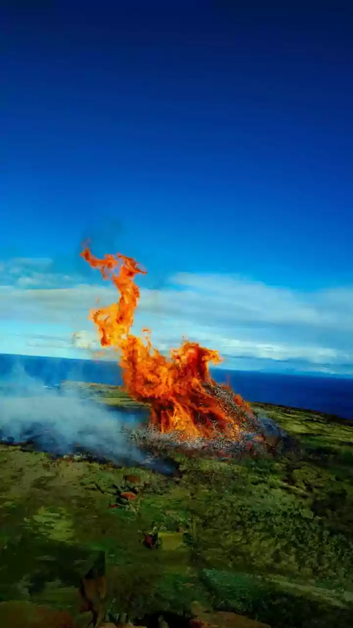 When wildfires make their own weather: France's first fire-cloud, and India