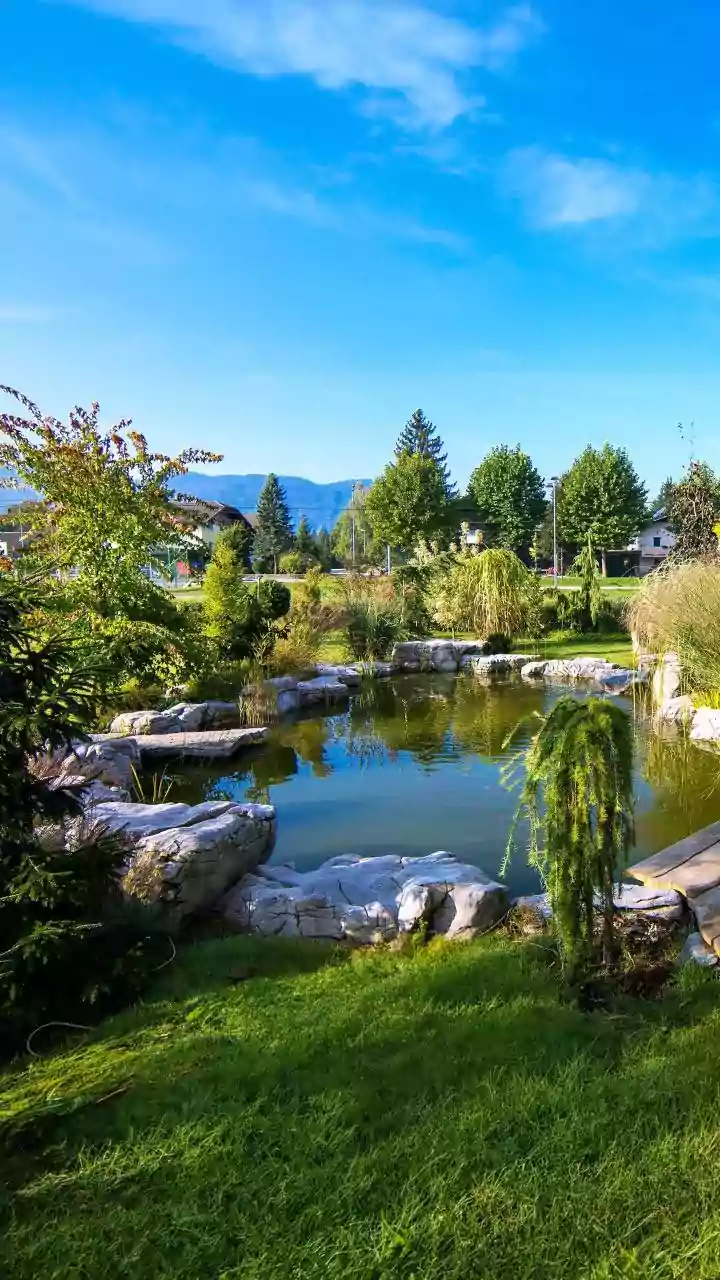 How The Low-Water Gardening Shift Changes The Case For Water-Smart Garden Design