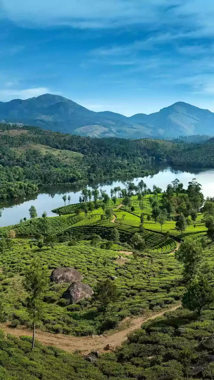 Making Sustainability Effortless: Your Guide to Greener Living in India