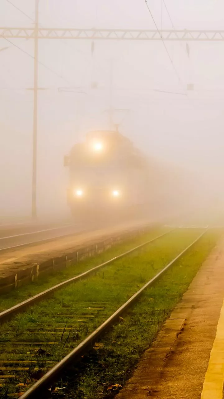 How Fogging Helps Prevent Dengue and Malaria